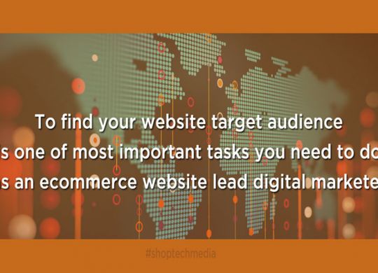 find your website target audience